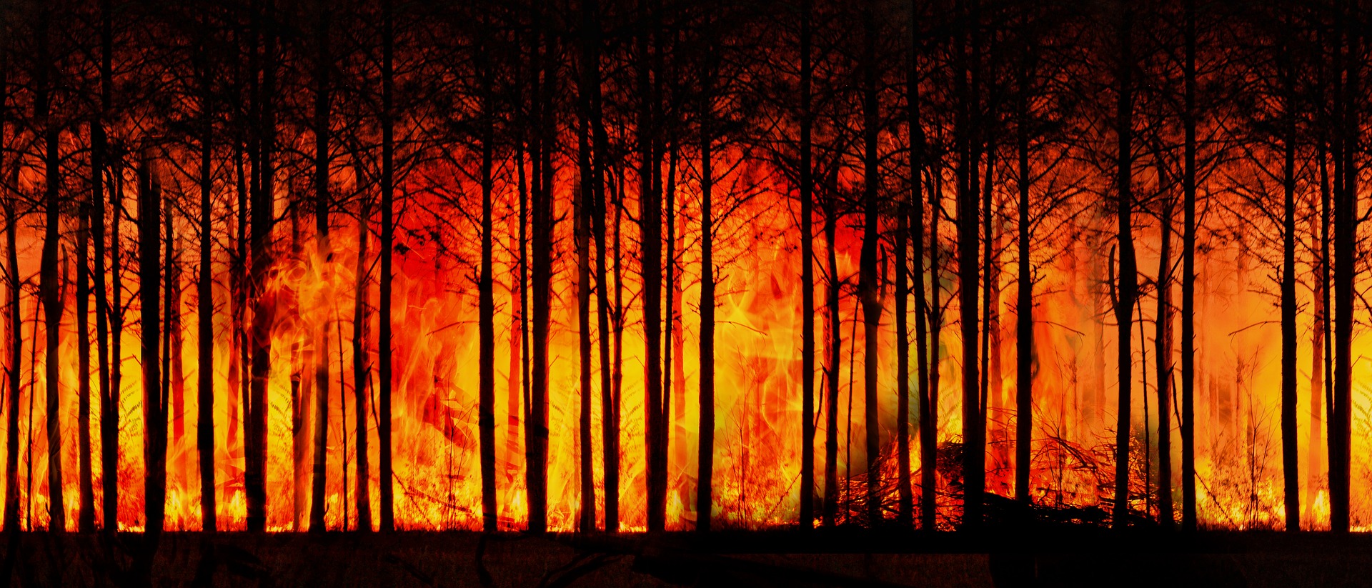 Forest fires can delay the recovery of the ozone layer