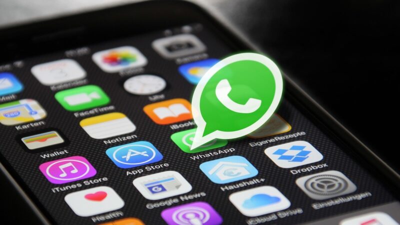 Goodbye to losing photos and videos with this new WhatsApp function in group chats